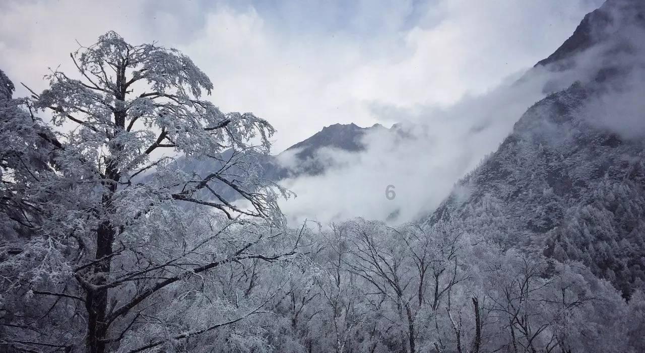 昔日女排队长,退役后虽身居要职,却因疾病缠身,靠换血续命